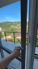 Morning routine with pug documented in Sochi apartment