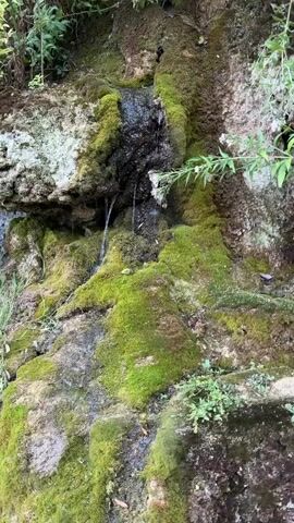 The video shows a natural outdoor scene. In the first few seconds, moss-covered rocks and a small waterfall are visible. As the video progresses, a small statue of a person sitting down is revealed, surrounded by rocks and greenery. The camera then pans to show more of the waterfall and the surrounding rocks and plants. The overall impression is of a peaceful, natural setting with a touch of decorative artistry.