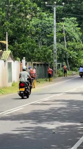 The video shows a roadside scene where several individuals are cutting grass along the edge of a road. There are at least four people actively engaged in trimming the grass using string trimmers. They are spread out along the side of the road, working sequentially. One person is wearing a blue hat and an orange safety vest over a dark shirt, and yellow boots. Another person also has an orange vest and similar boots. A motorcycle with two riders is passing by in the foreground, moving away from the camera. The road has white dividing lines. Behind the workers, there is a wall or fence, and beyond that, dense green foliage and trees. A utility pole with wires is visible on the right side of the road. The lighting suggests it is daytime, possibly overcast. The environment appears to be a rural or suburban area with lush vegetation.