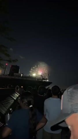 A group of people watch fireworks explode above a large ship at night. The ship is dark with lights on its upper decks. The fireworks are a mix of pink, red, green, and white. The sky is dark, indicating it is nighttime. Some trees are visible on the left side of the frame. The people are standing and facing away from the camera.