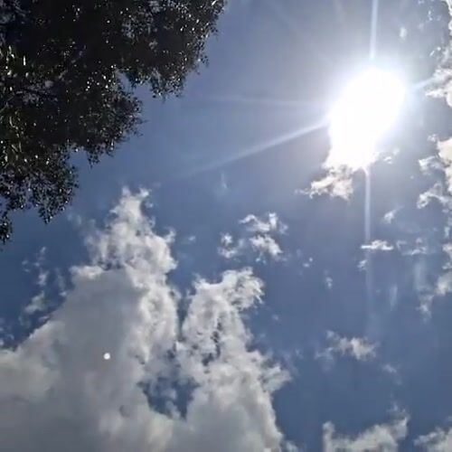 Person films sun through tree branches in Venezuela