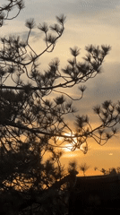 Person enjoys gaming console outdoors during sunset in Champs-sur-Marne