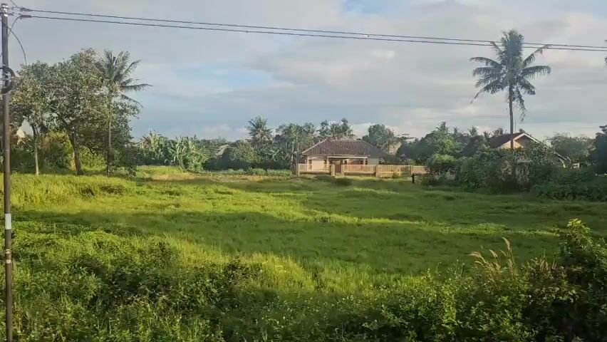 The video shows a view from a moving vehicle passing through a rural area.  The landscape consists of green fields and lush vegetation, including palm trees and banana plants.  In the distance, there are houses, some appearing well-maintained and others unfinished or in disrepair.  Power lines are visible overhead.  The sky is partly cloudy.