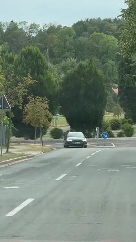 A dark gray Ford Focus wagon with a license plate reading OHA PG 74 drives away from the camera on a paved road. The car is heading towards a green sign and what appears to be a park or cemetery on a gentle slope in the background. The road has white lane markings. On the right side of the road, a blue and white directional arrow sign indicates a right turn. The car is framed by a dense canopy of green trees. The lighting suggests it is daytime.