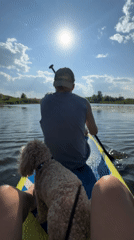 Woman, dog enjoy paddleboarding on Russian lake Saturday afternoon