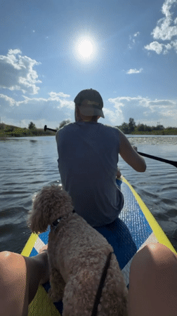 Woman, dog enjoy paddleboarding on Russian lake Saturday afternoon