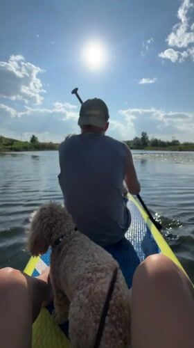 Woman, dog enjoy paddleboarding on Russian lake Saturday afternoon