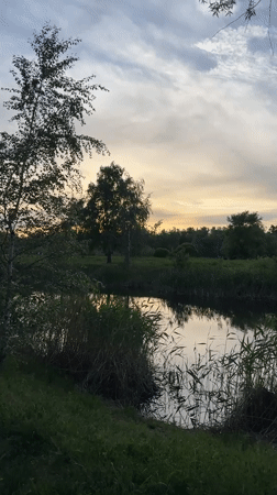 Sunset gathering at Omsk park draws peaceful evening visitors