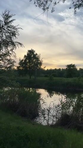 Sunset gathering at Omsk park draws peaceful evening visitors