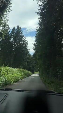A first-person perspective video captures a car driving on a paved road through a dense forest. Tall, dark green trees line both sides of the road, creating a tunnel-like effect. Lush green undergrowth is visible along the sides of the road. The sky above is partially visible through the canopy, with patches of blue sky and white clouds. Sunlight filters through the leaves, dappling the road. The dashboard and windshield of the car are visible in the foreground. The road curves slightly ahead, disappearing into the distance.