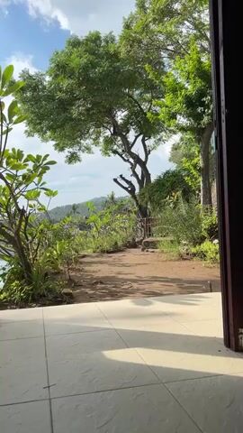 The video shows a scenic view from a porch overlooking lush greenery and a body of water. A large tree with a sprawling canopy dominates the center of the frame, with its branches reaching towards the sky. The ground in front of the tree is covered with dirt and a pathway leading further into the landscape. Various plants and bushes are visible throughout the scene, creating a vibrant and natural atmosphere. The sky is a mix of blue with scattered clouds, suggesting a bright and pleasant day. Sunlight casts shadows on the tiled floor of the porch, indicating the time of day. The overall impression is one of tranquility and natural beauty.