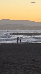 Málaga coastline at dusk: beach, seafront, and shore