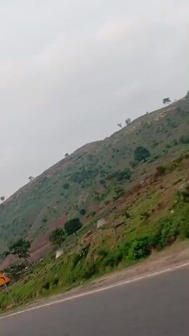 The video shows a view from a moving vehicle on a road. To the right of the road, a hill slopes upwards, covered in green vegetation and scattered trees. The sky is overcast and grey. A yellow and black road sign indicating a curve is visible at the edge of the road.