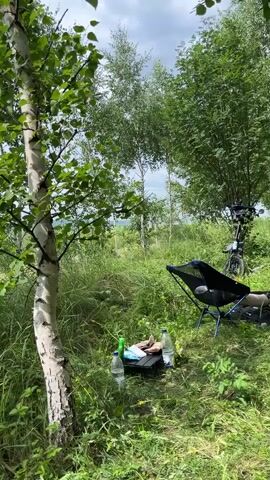 The video opens with a close-up shot of a young birch tree with white bark and green leaves. The camera pans to the right, revealing a lush green meadow with tall grass and various trees, including more birch trees. In the foreground, a black folding chair is set up, and next to it are two plastic water bottles and a black object, possibly a small cooler or bag. A person's legs, wearing light-colored shorts and barefoot, are visible resting on the black object. A bicycle is parked behind the chair, with bags attached to it. The camera then moves to focus on the bicycle's handlebars and the bags attached, one of which has a black and white patterned cloth draped over it. Finally, the camera pans to the left, showing the person's head and shoulders from behind as they look out at the scenic landscape, which includes rolling hills and a distant treeline under a cloudy sky. The overall scene depicts a peaceful outdoor setting, likely a resting spot during a bicycle trip.