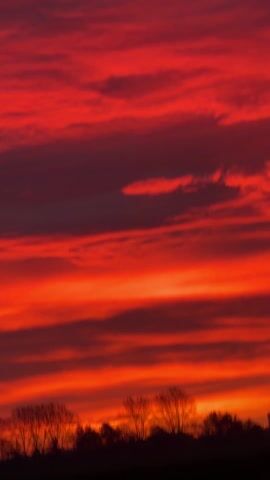 The video shows a vivid, intense red and orange sunset with dark, silhouetted trees along the horizon. The sky is filled with layers of clouds, illuminated by the setting sun. As the camera moves, a concrete structure or bridge appears in the middle of the frame before being obscured again by the horizon. The scene evokes a sense of warmth and dramatic natural beauty.