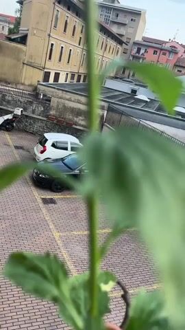 A blurry foreground of a plant with leaves and small white flowers obscures a view of a parking lot in what appears to be a European city. Two cars are parked in the lot: a white hatchback and a black station wagon. The station wagon has a bright yellow object, possibly a tarp or a child's toy, on its hood. The parking lot is paved with reddish-brown bricks and marked with yellow lines. Behind the parking lot, a fence separates it from a courtyard area with a white awning and some parked vehicles. Beyond that, there are several multi-story buildings, typical of an urban environment, with light-colored facades and red tile roofs. One building is particularly tall and appears to be an apartment building. The sky is overcast, suggesting it might be late afternoon or an overcast day. The overall impression is a typical urban scene in Italy. No people are visible.
