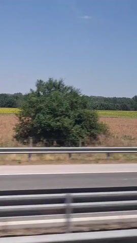 The video shows a side view of a landscape from a moving vehicle. In the foreground, there are two lanes of a highway separated by a metal barrier. Beyond the highway, there is a field with dry brown grass and a patch of yellow flowers, possibly sunflowers. A dense line of green trees borders the field in the background. The sky is clear blue with some faint clouds. A dark-colored car is seen driving on the highway in the middle of the video. There is also a billboard visible on the right side of the screen at the beginning of the video. The overall impression is a rural scene on a sunny day.