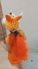 Child in fox costume dances in Russian town
