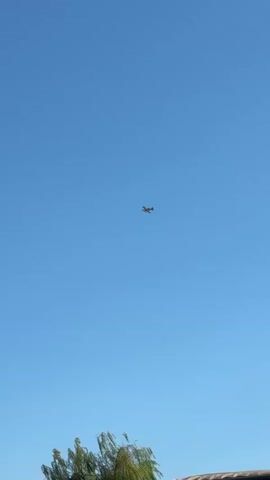 A small airplane is seen flying in the clear blue sky. The bottom of the frame shows the tops of green trees and a portion of a building or structure. The airplane is small in the frame and appears to be moving horizontally across the sky. There are no people visible.