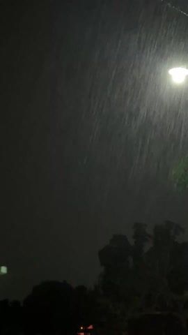 The video depicts a dark, rainy night scene, likely in a residential area. A street lamp illuminates the downpour, casting a bright, focused light against the darkness. Silhouetted trees are visible at the bottom of the frame. Wires, possibly power lines, are strung above, and a blurry green light is visible in the distance. Rain streaks dominate the view, obscuring finer details and creating a sense of heavy precipitation. The camera appears to be positioned under cover, judging by the dark frame on the right side of the scene.