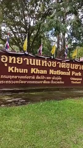 The video shows a sign for Khun Khan National Park in Chiang Mai, Thailand. The sign is brown with gold lettering in both Thai and English. It is decorated with several flags, including the Thai flag and yellow flags. Behind the sign, there is a grassy area with trees. Several deer are visible grazing in the grass in the background, and a road can be seen to the right. The overall environment appears to be a natural, park-like setting.