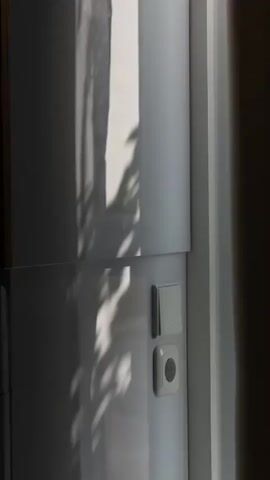 The video shows a close-up view of a white wall with two light switches. One switch is a standard toggle switch, and the other is a round button. Sunlight streams in from the right side of the frame, casting shadows of leaves and branches across the wall. The shadows are dynamic, shifting and moving as if caused by a breeze. The wall appears to be smooth and modern, possibly in a home or office setting. The overall impression is one of natural light and minimalist design.