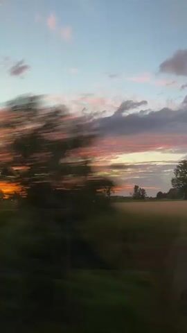 This is a vertical, first-person, video of a sunset viewed from a moving vehicle, likely a train or car. The sky is a brilliant orange and pink with scattered clouds, transitioning to a lighter blue at the top. Below the sky is a distant horizon with trees and power lines, silhouetted against the colorful sky. In the foreground, there is a blurred green field, indicating motion. The camera perspective is looking out of a window, with a reflection of what appears to be the interior of the vehicle visible at the top of the frame.