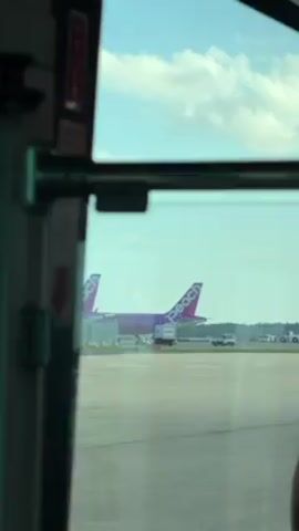 The video shows a view of a purple Peach Aviation airplane on a runway, seen through the window of a vehicle. The window frame is visible, including the metal handle and a red and white sign. The sky is blue with some clouds. There are several vehicles around the airplane. The plane has the word "peach" written in purple on the tail.  The scene is a daytime shot at an airport.