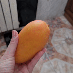 Witnesses Document Fruit Preparation Activities in Kitchen Settings