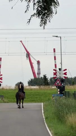 A person on horseback is at a railway crossing. The rider is wearing a black helmet and black riding attire. The horse is dark brown. The railway crossing has red and white striped barriers and a warning sign with a train symbol. In the background, a large red crane is visible, along with a tall industrial structure. To the left of the crane, a white and red ship with a bridge structure is also visible. The scene appears to be set in the Hook of Holland, Netherlands, indicated by the presence of a seaport and industrial elements. The weather is overcast, suggesting it might be morning or late afternoon. The overall mood is serene, with the rider and horse pausing at the crossing, likely waiting for a train. The Dutch word "WACHT" which means "WAIT" is visible on a blue sign.
