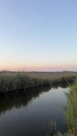 The video shows a wide shot of a calm body of water with reeds growing along its banks. The sky above is a gradient of soft colors, transitioning from a pale blue at the top to a warm orange and pink near the horizon, indicating either sunrise or sunset. The water reflects the sky and the reeds, creating a serene and peaceful atmosphere. There are no people or animals visible in the frame, and no specific actions are taking place other than the gentle movement of the reeds in a slight breeze. The environment appears to be a natural wetland or marshland.