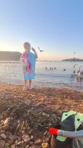 A young child wearing a unicorn hooded towel stands on a pebble beach facing a body of water. Several seagulls are in the water and in the air. In the foreground, a pair of green fins and a snorkel are visible. The sun is low in the sky, casting a warm light on the scene. The water appears calm and the sky is clear and blue.