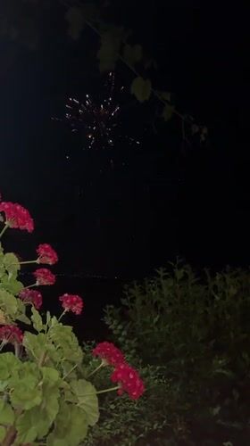 Fireworks over Varna, framed by flowers and sea views