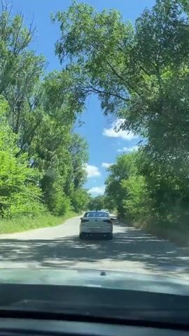 The video captures a view from inside a vehicle looking out through the windshield. The vehicle is on a paved road with trees lining both sides, creating a canopy effect overhead. Sunlight filters through the leaves, casting dappled shadows. Several white cars are visible ahead on the road, driving in the same direction. The sky is bright blue with a few scattered white clouds. The windshield appears to have some dirt or water spots on it, creating a slightly blurred or streaked effect. The perspective suggests the vehicle is in motion.