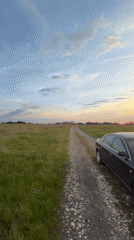 Audi sedan parked beside field captured during sunset
