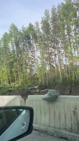A car is driving past a forest, separated from the road by red and white plastic barriers. Sandbags are placed on top of the barriers. Trees, mostly evergreen, line the forest area. There is visible construction or land clearing activity with a machine in the background, along with piles of dirt and fallen branches. The car's side mirror is visible in the lower left corner of the frame. The sky is overcast, suggesting daytime conditions.