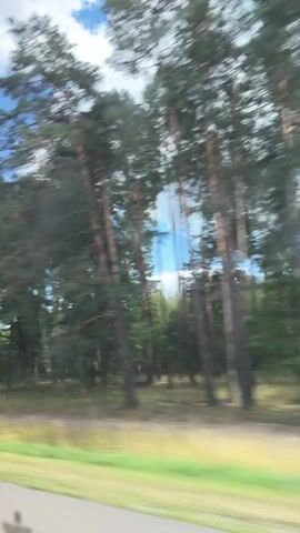 The video shows a view from a moving vehicle looking out at a forest. Tall green trees, primarily pine trees, are visible with some deciduous trees mixed in. The sky is blue with scattered white clouds. The ground is covered in grass and some dry vegetation. The motion blur indicates the vehicle is traveling at a moderate speed. The time stamps suggest the video is approximately 4 seconds long.