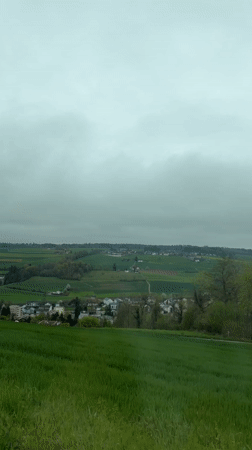 Overcast day captured over Swiss valley town from Friedlisberg