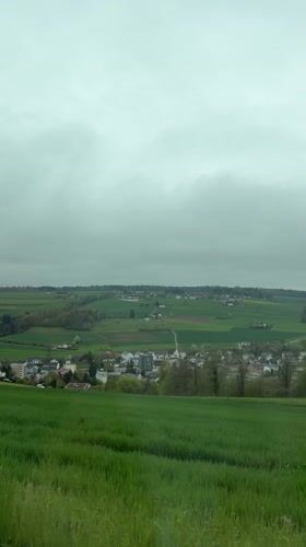 Overcast day captured over Swiss valley town from Friedlisberg
