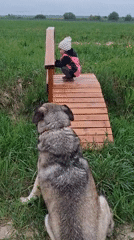 Child plays with large dog in Russian village