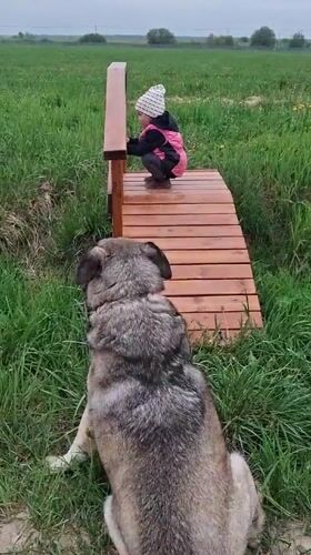 Child plays with large dog in Russian village