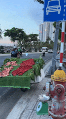 Daily life unfolds in Vietnamese coastal district morning