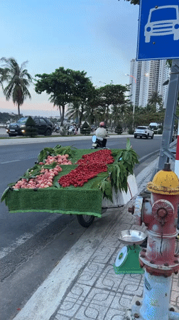 Daily life unfolds in Vietnamese coastal district morning