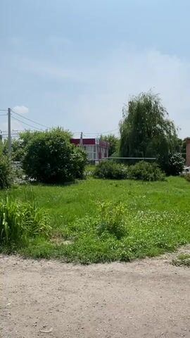 The video captures an outdoor scene on a sunny day with a clear blue sky. In the foreground, there is a gravelly surface and a patch of green grass with some low-lying bushes and plants. A portion of a white vehicle is visible on the left side of the frame. Beyond the grass, there are several trees, including a large weeping willow on the right and a dense bush in the center. In the background, a small building with a red and white facade is visible, possibly a kiosk or a small shop. Further in the distance, there are power lines and some other structures, including what appears to be a multi-story building with brickwork. The overall impression is of a semi-urban or suburban environment with a mix of greenery and man-made structures.