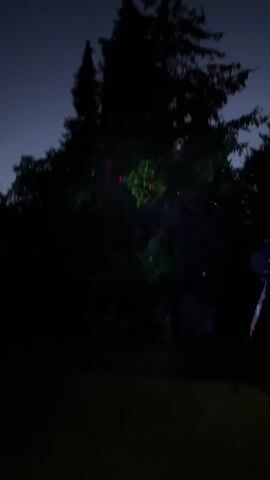 This video displays a nighttime scene with silhouetted trees. Laser lights are projected onto the foliage, shifting between green and red patterns. The laser lights create a dotted or speckled effect on the leaves. The background shows a dark blue sky with a faint gradient. The overall impression is of an outdoor decorative light display.