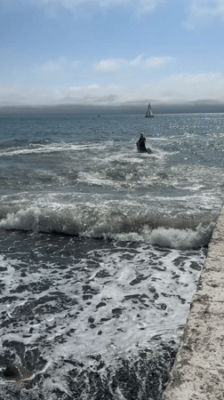 Spring morning scenes captured across Sochi's waterfront and streets