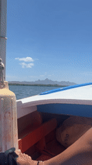 Boat ride captured on video near Santa María, Venezuela