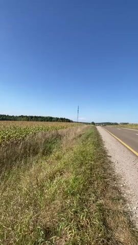 The video opens with a wide shot of a rural landscape under a clear blue sky. A vast cornfield stretches across the left side of the frame, with dry grass and weeds in the foreground. A paved road with a yellow line runs along the right side of the frame, disappearing into the distance. A tall transmission tower is visible in the far distance on the right. The camera then pans to the left, showing the sun shining brightly, casting a warm glow over the scene. The video then shifts to a close-up of a young woman, who is holding two ears of corn. She is wearing a black t-shirt, black shorts, and a plaid shirt. She smiles at the camera, holding the corn up as if to show them off. She appears to be on the side of the road, with the cornfield and road visible in the background. The woman then speaks in Russian, saying "I picked corn."