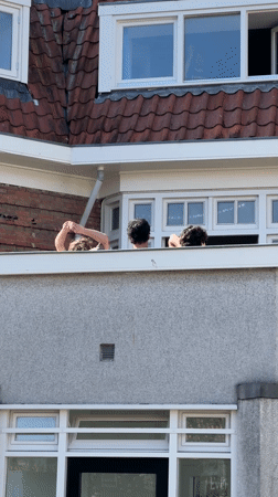 Spring afternoon scenes captured across Amsterdam neighborhood