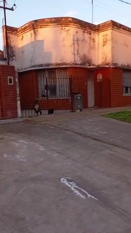 The video shows a dog standing behind a metal fence in front of a house. The house has orange brick walls and a white upper section. There is a window with metal bars on the front of the house. The dog is brindle colored with white markings on its chest and legs. It is looking towards the camera. Another black dog or object is visible behind the brindle dog. The ground in front of the house is concrete. The lighting suggests it is either early morning or late afternoon.